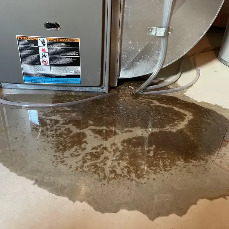 Appliance Leak Cleanup in Garland County, AR